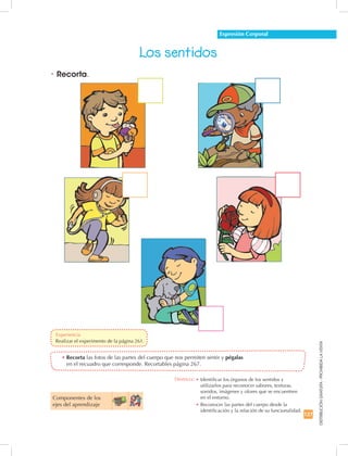 127
DISTRIBUCIÓNGRATUITA-PROHIBIDALAVENTA
Componentes de los
ejes del aprendizaje
•	Recorta las fotos de las partes del cuerpo que nos permiten sentir y pégalas
en el recuadro que corresponde. Recortables página 267.
•	Recorta.
Los sentidos
Destreza: •	Identificar los órganos de los sentidos y
utilizarlos para reconocer sabores, texturas,
sonidos, imágenes y olores que se encuentren
en el entorno.
•	Reconocer las partes del cuerpo desde la
identificación y la relación de su funcionalidad.
Expresión Corporal
	 Realizar el experimento de la página 261.
Experiencia
 