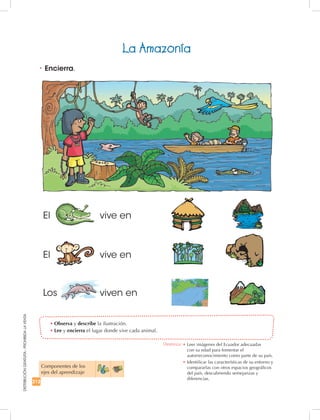 212
DISTRIBUCIÓNGRATUITA-PROHIBIDALAVENTA
La Amazonía
Componentes de los
ejes del aprendizaje
•	Observa y describe la ilustración.
•	Lee y encierra el lugar donde vive cada animal.
•	Encierra.
El vive en
Los viven en
El vive en
Destreza: •		Leer imágenes del Ecuador adecuadas
con su edad para fomentar el
autorreconocimiento como parte de su país.
•	Identificar las características de su entorno y
compararlas con otros espacios geográficos
del país, descubriendo semejanzas y
diferencias.
 