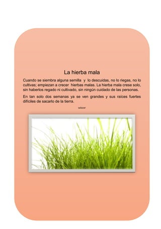 La hierba mala
Cuando se siembra alguna semilla y lo descuidas, no lo riegas, no lo
cultivas; empiezan a crecer hierbas malas. La hierba mala crese solo,
sin haberlos regado ni cultivado, sin ningún cuidado de las personas.
En tan solo dos semanas ya se ven grandes y sus raíces fuertes
difíciles de sacarlo de la tierra.
salazar
 