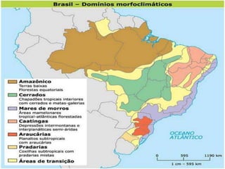 Dominios Morfoclimaticos