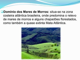 Domínio dos Mares de Morros: situa-se na zona
costeira atlântica brasileira, onde predomina o relevo
de mares de morros e alguns chapadões florestados,
como também a quase extinta Mata Atlântica.
 