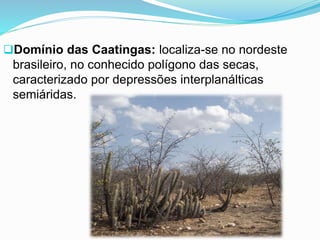 Domínio das Caatingas: localiza-se no nordeste
brasileiro, no conhecido polígono das secas,
caracterizado por depressões interplanálticas
semiáridas.
 