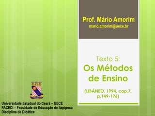 Prof. Mário Amorim
mario.amorim@uece.br

Texto 5:

Os Métodos
de Ensino
(LIBÂNEO, 1994, cap.7,
p.149-176)

 