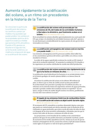 La acidificación del océano página 14
Aumenta rápidamente la acidificación
del océano, a un ritmo sin precedentes
en la historia de la Tierra
Se conoce bien la química de
la acidificación del océano y
los científicos cuentan con
modelos muy ajustados que
pueden predecir los cambios en
las propiedades químicas de la
superficie oceánica a medida
que aumenta el CO2 atmosférico.
Cuando el CO2 gaseoso se
disuelve en el agua de mar,
se forma ácido carbónico y se
modifica la composición del agua:
es la acidificación del océano.
La acidificación del océano está provocada por las
emisiones de CO2 derivadas de las actividades humanas
y liberadas a la atmósfera, que finalmente acaban en el
océano [Nivel de confianza muy alto]
En la actualidad, los océanos absorben aproximadamente una cuarta parte del
CO2 que arrojan a la atmósfera las actividades humanas cada año18
, gracias a
lo cual disminuyen considerablemente las repercusiones de este gas de efecto
invernadero en el clima.
V
V La acidificación antropogénica del océano está en marcha
y se puede medir [Nivel de confianza muy alto]
Las emisiones antropogénicas de CO2 provocan cambios observables hoy
en las características químicas del océano y previsibles con certeza a escala
mundial en el futuro.
La acidez de las aguas superficiales oceánicas ha crecido un 26% desde el
inicio de la revolución industrial1
. Al aumentar la cantidad de CO2 disuelto, a
los organismos con conchas calcificadas les resulta más difícil producirlas.
H La acidificación del océano aumenta más rápidamente de lo
que lo ha hecho en millones de años [Nivel de confianza alto]
La acidificación actual inducida por los humanos es un acontecimiento único
en la historia geológica de nuestro planeta debido a su intenso ritmo de
cambio.
Al analizar la acidificación del océano en los últimos 300 millones de
años, se observa que su ritmo de cambio actual no tiene precedentes31
.
El acontecimiento más parecido se produjo hace 55 millones de años y se
relaciona con la extinción masiva de organismos calcáreos de aguas profundas,
asociada a grandes cambios del ecosistema marino en superficie31
. En esa
época, aunque el ritmo de cambio del pH oceánico era intenso, posiblemente
era unas diez veces inferior al actual32
.
V El legado de las emisiones históricas de combustibles fósiles
en la acidificación del océano se dejará sentir durante siglos
[Nivel de confianza muy alto]
El incremento del CO2 atmosférico se produce demasiado deprisa como para
que pueda ser contrarrestado por efectos naturales como la disolución de los
carbonatos en aguas profundas, que actúa a escala del orden de miles de años,
o el desgaste de las rocas terrestres carbonatadas y silicatadas, para las que la
escala es del orden de decenas a centenares de miles de años.
Las proyecciones a nivel mundial de los cambios en las características
químicas del agua de mar pueden efectuarse con bastante exactitud, a partir
de escenarios de los niveles atmosféricos de CO2. Incluso en el caso de que las
misiones antropogénicas de CO2 cesasen hoy mismo, el pH del océano tardaría
varios siglos en recuperar su valor de la época preindustrial33
.
 