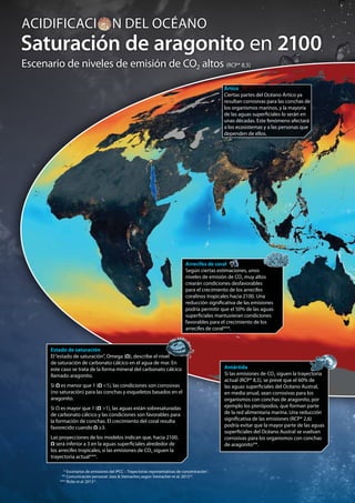 La acidificación del océano página 6
Escenario de niveles de emisión de CO2 altos (RCP* 8,5)
Saturación de aragonito en 2100
ACIDIFICACI N DEL OCÉANO
* Escenarios de emisiones del IPCC – Trayectorias representativas de concentración1.
** Comunicación personal: Joos & Steinacher, según Steinacher et al. 201310
.
*** Ricke et al. 201311
.
Antártida
Si las emisiones de CO2 siguen la trayectoria
actual (RCP* 8,5), se prevé que el 60% de
las aguas superficiales del Océano Austral,
en media anual, sean corrosivas para los
organismos con conchas de aragonito, por
ejemplo los pterópodos, que forman parte
de la red alimentaria marina. Una reducción
significativa de las emisiones (RCP* 2,6)
podría evitar que la mayor parte de las aguas
superficiales del Océano Austral se vuelvan
corrosivas para los organismos con conchas
de aragonito**.
Ártico
Ciertas partes del Océano Ártico ya
resultan corrosivas para las conchas de
los organismos marinos, y la mayoría
de las aguas superficiales lo serán en
unas décadas. Este fenómeno afectará
a los ecosistemas y a las personas que
dependen de ellos.
Arrecifes de coral
Según ciertas estimaciones, unos
niveles de emisión de CO2 muy altos
crearán condiciones desfavorables
para el crecimiento de los arrecifes
coralinos tropicales hacia 2100. Una
reducción significativa de las emisiones
podría permitir que el 50% de las aguas
superficiales mantuvieran condiciones
favorables para el crecimiento de los
arrecifes de coral***.
Estado de saturación
El“estado de saturación”, Omega (Ω), describe el nivel
de saturación de carbonato cálcico en el agua de mar. En
este caso se trata de la forma mineral del carbonato cálcico
llamado aragonito.
Si Ω es menor que 1 (Ω <1), las condiciones son corrosivas
(no saturación) para las conchas y esqueletos basados en el
aragonito.
Si Ω es mayor que 1 (Ω >1), las aguas están sobresaturadas
de carbonato cálcico y las condiciones son favorables para
la formación de conchas. El crecimiento del coral resulta
favorecido cuando Ω ≥3.
Las proyecciones de los modelos indican que, hacia 2100,
Ω será inferior a 3 en la aguas superficiales alrededor de
los arrecifes tropicales, si las emisiones de CO2 siguen la
trayectoria actual***.
 