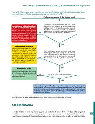 ACOLHIMENTO À DEMANDA ESPONTÂNEA – Queixas mais comuns na Atenção Básica


Figura 32 – Fluxograma para o atendimento com classificação de risco/vulnerabilidade dos pacientes
com quadro de dor lombar aguda que procuram atendimento na AB




                                                   Apresenta comprometimento de vias áreas,
                                                   dispneia grave, ausência de mumúrio vesicular,
                                                   sibilios, sinais de choque (taquicardia, palidez,
                                                   hipotensão, diminuição de perfusão periférica)
                                                   ou alteração do nível de consciência? Febre alta?
                                                   Dor severa/incapacitante? Dor abdominal?




                                                  Dor moderada? Novos sintomas e/ou sinais
                                                  neurológicos (alteração e/ou perda de sensibili-
                                                  dade, enfraquecimento dos membros; alteração
                                                  do funcionamento da bexiga e/ou instestino)?
                                                  Traumatismo direto da região lombar? Febre?




Fonte: Ministério da Saúde. Secretaria de Atenção à Saúde. Departamento de Atenção Básica, 2011.




2.13 DOR TORÁCICA


   A dor torácica é uma importante queixa nas unidades de saúde. O médico deve estar preparado
para identificar as causas de dor torácica potencialmente graves para um rápido início de tratamento e   121
encaminhamento dos pacientes. Aquelas causas sem risco iminente devem ser tratadas na própria unidade.
 