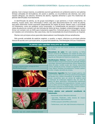 ACOLHIMENTO À DEMANDA ESPONTÂNEA – Queixas mais comuns na Atenção Básica


plantas. Com crianças maiores, os acidentes ocorrem geralmente em ambiente externo com plantas
leitosas utilizadas em brincadeiras. Em jovens e adultos, as circunstâncias são diversas, tais como
reações alérgicas, uso abusivo, tentativa de aborto, ingestão alimentar e para fins medicinais de
plantas identificadas incorretamente.

    A identificação da planta, ou do grupo toxicológico a que pertence, é muito importante, no
entanto, muitas vezes, essa informação é difícil, seja pelo desconhecimento do nome da planta,
seja pelos diferentes nomes populares dependendo da região do Brasil. Nesses casos, a prioridade
no tratamento, como em qualquer outra intoxicação, é a estabilização do paciente e retirada de
restos da planta em contato com ele (retirada de restos da boca, lavagem corporal,lavagem ocular).
Entrar em contato com os CIATs para tratamento específico. Sintomas gerais e inespecíficos devem
ser tratados com sintomáticos. Nos casos leves, não há necessidade de encaminhamento ao hospital.

   Plantas com princípios ativos parecidos desencadeiam manifestações clínicas semelhantes.

   Pela grande variedade de espécies vegetais, o quadro, a seguir, relaciona as principais plantas
tóxicas de acordo com o princípio ativo, ou grupo de substâncias, manifestações clínicas e tratamento.

                            PLANTAS QUE CONTÊM OXALATO DE CÁLCIO
                                                    São as plantas que mais causam acidentes, principalmente
                                                    em crianças.

                                                    Mecanismo de ação: Por ação mecânica, as folhas
                                                    liberam centenas de idioblastos com oxalato de cálcio que
                                                    penetram em mucosas depositando enzimas proteolíticas,
                                                    seguido por liberação de histamina e bradicinina.

                                                    Manifestações Clínicas: Ingestão: dor em queimação,
                                                    edema de lábios e língua e da mucosa oral, salivação, disfagia/
                                                    odinofagia, distúrbios gastrointestinais, afonia, dispnéia por
                                                    edema de glote. Contato ocular: dor intensa, conjuntivite
 Comigo-ninguém-pode, aninga-do-Pará                química, abrasão da córnea, irritação e congestão da mucosa
 (Dieffenbachia picta)                              ocular, edema, fotofobia, lacrimejamento. Contato cutâneo:
                                                    prurido, irritação, dermatite de contato.

                                                    Tratamento: Ingestão: Não fazer lavagem gástrica, não
                                                    induzir vômitos. Oferecer, sem forçar, pequenas quantidades
                                                    de líquidos frios. Utilizar sintomáticos, se necessário. Casos
                                                    graves: encaminhar para um serviço de urgência para
                                                    a realização de endoscopia digestiva alta; em casos de
                                                    edema de glote administrar corticosteróide endovenoso
                                                    e verificar necessidade de traqueostomia. Contato ocular:
                                                    Lavar os olhos com soro fisiológico, fazer curativo oclusivo e
                                                    encaminhar o paciente ao oftalmologista. Contato cutâneo:
                                                    Lavar a pele com água corrente sem esfregar.
 Antúrios ( Anthurium sp)
                                                    Outras plantas com potencial semelhante de
                                                    intoxicação:
                                                      – Banana-de-macaco (Monstera deliciosa)
                                                      – Cipó-imbé, filodendro, imbé, banana de macaco
                                                        (Philodendron bipinnatifolium)
                                                      – Cheflera-pequena (Schefflera arborícola)
                                                      – Taioba-brava, cocó, taió, tajá (Colocasia antiquorum)




 Tinhorão, tajá, taiá, caládio (Caladium bicolor)
                                                                                                      (continua...)   143
 