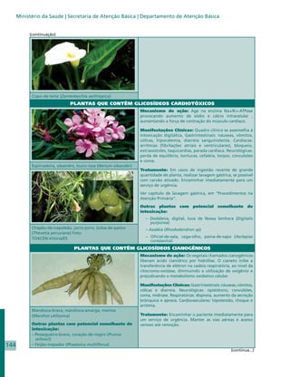 Ministério da Saúde | Secretaria de Atenção Básica | Departamento de Atenção Básica


           (continuação)




            Copo-de-leite (Zantedeschia aethiopica)
                               PLANTAS QUE CONTÊM GLICOSÍDEOS CARDIOTÓXICOS
                                                                   Mecanismo de ação: Age na enzima Na+/K+-ATPase
                                                                   provocando aumento de sódio e cálcio intracelular ,
                                                                   aumentando a força de contração do músculo cardíaco.

                                                                   Manifestações Clínicas: Quadro clínico se assemelha à
                                                                   intoxicação digitálica. Gastrintestinais: náuseas, vômitos,
                                                                   cólicas, hipocalemia, diarreia sanguinolenta. Cardíacas:
                                                                   arritmias (fibrilações atriais e ventriculares), bloqueio,
                                                                   extrassístoles, taquicardias, parada cardíaca. Neurológicas:
                                                                   perda de equilíbrio, tonturas, cefaleia, torpor, convulsões
                                                                   e coma.
            Espirradeira, oleandro, louro rosa (Nerium oleander)
                                                                   Tratamento: Em casos de ingestão recente de grande
                                                                   quantidade de planta, realizar lavagem gástrica, se possível
                                                                   com carvão ativado. Encaminhar imediatamente para um
                                                                   serviço de urgência.
                                                                   Ver capítulo de lavagem gástrica, em “Procedimentos na
                                                                   Atenção Primária”.
                                                                   Outras plantas com potencial semelhante de
                                                                   intoxicação:
                                                                     – Dedaleira, digital, luva de Nossa Senhora (Digitalis
                                                                       purpúrea)
            Chapéu-de-napoleão, jorro-jorro, bolsa-de-pastor         – Azaléia (Rhododendron sp)
            (Thevetia peruviana) Foto:
            TOXCEN-Vitória/ES                                        – Oficial-de-sala, cega-olho, paina-de-sapo (Asclepias
                                                                       curassavica)
                                 PLANTAS QUE CONTÊM GLICOSÍDEOS CIANOGÊNICOS
                                                                   Mecanismo de ação: Os vegetais chamados cianogênicos
                                                                   liberam ácido cianídrico por hidrólise. O cianeto inibe a
                                                                   transferência de elétron na cadeia respiratória, ao nível da
                                                                   citocromo-oxidase, diminuindo a utilização de oxigênio e
                                                                   prejudicando o metabolismo oxidativo celular.

                                                                   Manifestações Clínicas: Gastrintestinais: náuseas, vômitos,
                                                                   cólicas e diarreia. Neurológicas: opistótono, convulsões,
                                                                   coma, midríase. Respiratórias: dispneia, aumento da secreção
                                                                   brônquica e apneia. Cardiovasculares: hipotensão, choque e
                                                                   arritmia.
            Mandioca-brava, mandioca-amarga, maniva
            (Manihot utilíssima)                                   Tratamento: Encaminhar o paciente imediatamente para
                                                                   um serviço de urgência. Manter as vias aéreas e acesso
            Outras plantas com potencial semelhante de             venoso até remoção.
            intoxicação:
            – Pessegueiro-bravo, coração-de-negro (Prunus
              sellowii)
144         – Feijão-trepador (Phaseolus multiflorus)
                                                                                                                   (continua...)
 