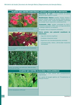 Ministério da Saúde | Secretaria de Atenção Básica | Departamento de Atenção Básica


           (continuação)
                 PLANTAS QUE CONTÊM SUBSTÂNCIAS LEITOSAS CÁUSTICAS OU IRRITANTES
                                                                  Mecanismo de ação: O látex presente nas plantas
                                                                  apresenta ação cáustica e irritante.

                                                                  Manifestações Clínicas: Ingestão: náuseas, vômitos e
                                                                  diarréia. Contato cutâneo: dor, prurido, eritema, edema e
                                                                  bolhas. Contato ocular: inchaço de pálpebras, diminuição
                                                                  da acuidade visual, conjuntivite, ceratoconjuntivite.

                                                                  Tratamento: Pele: lavagem prolongada do local e
                                                                  tratamento sintomático. Olhos: lavar com água abundante
                                                                  e avaliação oftálmica, se necessário.
            Coroa-de-Cristo, colchão-de-noiva, dois-irmãos        Se ingestão indica-se tratamento sintomático.
            (Euphorbia milii)
                                                                  Outras plantas com potencial semelhante de
                                                                  intoxicação:
                                                                    – Cega-olho (Isotoma longiflora)
                                                                    – Candelabro (Euphorbia lactea)
                                                                    – Figueirinha roxa, barrabás (Euphorbia cotinifolia)
                                                                    – Amendoim-brabo, leiteira, café-do-diabo (Euphorbia
                                                                      heterophyla)


            Bico-de-papagaio, flor do Espírito Santo (Euphorbia
            pulcherrima)




            Avelós, pau-pelado, pau-sobre-pau, dedo-do-diabo
            (Euphorbia tirucalli)
                               PLANTAS QUE CONTÊM ALCALÓIDES PIRROLIZIDÍNICOS
                                                                  Encaminhar os casos crônicos para acompanhamento
                                                                  especializado.
                                                                  Ver capítulo de lavagem gástrica, em “Procedimentos na
                                                                  Atenção Primária”.




            Confrei (Symphytum officinale)




146                                                                                                               (continua...)
 