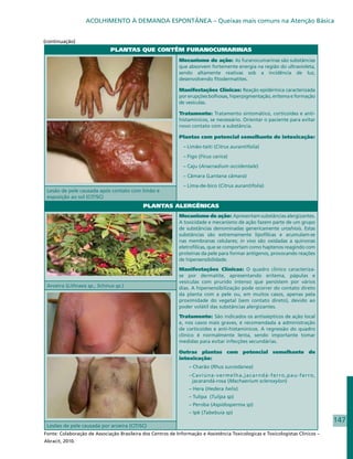 ACOLHIMENTO À DEMANDA ESPONTÂNEA – Queixas mais comuns na Atenção Básica


(continuação)
                              PLANTAS QUE CONTÊM FURANOCUMARINAS
                                                             Mecanismo de ação: As furanocumarinas são substâncias
                                                             que absorvem fortemente energia na região do ultravioleta,
                                                             sendo altamente reativas sob a incidência de luz,
                                                             desenvolvendo fitodermatites.

                                                             Manifestações Clínicas: Reação epidérmica caracterizada
                                                             por erupções bolhosas, hiperpigmentação, eritema e formação
                                                             de vesículas.

                                                             Tratamento: Tratamento sintomático, corticoides e anti-
                                                             histamínicos, se necessário. Orientar o paciente para evitar
                                                             novo contato com a substância.

                                                             Plantas com potencial semelhante de intoxicação:
                                                               – Limão-taiti (Citrus aurantifolia)
                                                               – Figo (Fícus carica)
                                                               – Caju (Anacradium occidentale)
                                                               – Câmara (Lantana câmara)
                                                               – Lima-de-bico (Citrus aurantifolia)
 Lesão de pele causada após contato com limão e
 exposição ao sol (CIT/SC)
                                            PLANTAS ALERGÊNICAS
                                                             Mecanismo de ação: Apresentam substâncias alergizantes.
                                                             A toxicidade e mecanismo de ação fazem parte de um grupo
                                                             de substâncias denominadas genericamente uroshiois. Estas
                                                             substâncias são extremamente lipofílicas e acumulam-se
                                                             nas membranas celulares; in vivo são oxidadas a quinonas
                                                             eletrofílicas, que se comportam como haptenos reagindo com
                                                             proteínas da pele para formar antígenos, provocando reações
                                                             de hipersensibilidade.
                                                             Manifestações Clínicas: O quadro clínico caracteriza-
                                                             se por dermatite, apresentando eritema, pápulas e
                                                             vesículas com prurido intenso que persistem por vários
 Aroeira (Lithraea sp., Schinus sp.)                         dias. A hipersensibilização pode ocorrer do contato direto
                                                             da planta com a pele ou, em muitos casos, apenas pela
                                                             proximidade do vegetal (sem contato direto), devido ao
                                                             poder volátil das substâncias alergizantes.
                                                             Tratamento: São indicados os antissépticos de ação local
                                                             e, nos casos mais graves, é recomendada a administração
                                                             de corticoides e anti-histamínicos. A regressão do quadro
                                                             clínico é normalmente lenta, sendo importante tomar
                                                             medidas para evitar infecções secundárias.

                                                             Outras plantas com potencial semelhante de
                                                             intoxicação:
                                                                 – Charão (Rhus succedanea)
                                                                 –Caviúna-vermelha,jacarndá-ferro,pau-ferro,
                                                                  jacarandá-rosa (Machaerium scleroxylon)
                                                                 – Hera (Hedera helix)
                                                                 – Tulipa (Tulipa sp)
                                                                 – Peroba (Aspidosperma sp)
                                                                 – Ipê (Tabebuia sp)
                                                                                                                                147
 Lesões de pele causada por aroeira (CIT/SC)
Fonte: Colaboração de Associação Brasileira dos Centros de Informação e Assistência Toxicologicas e Toxicologistas Clínicos –
Abracit, 2010.
 