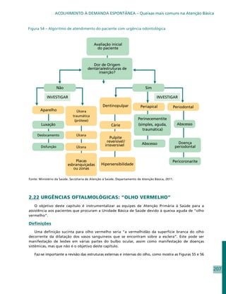 ACOLHIMENTO À DEMANDA ESPONTÂNEA – Queixas mais comuns na Atenção Básica


Figura 54 – Algoritmo de atendimento do paciente com urgência odontológica




Fonte: Ministério da Saúde. Secretaria de Atenção à Saúde. Departamento de Atenção Básica, 2011.




2.22 URGÊNCIAS OFTALMOLÓGICAS: “OLHO VERMELHO”
    O objetivo deste capítulo é instrumentalizar as equipes de Atenção Primária à Saúde para a
assistência aos pacientes que procuram a Unidade Básica de Saúde devido à queixa aguda de “olho
vermelho”.

Definições

    Uma definição sucinta para olho vermelho seria “a vermelhidão da superfície branca do olho
decorrente da dilatação dos vasos sanguíneos que se encontram sobre a esclera”. Este pode ser
manifestação de lesões em várias partes do bulbo ocular, assim como manifestação de doenças
sistêmicas, mas que não é o objetivo deste capítulo.

   Faz-se importante a revisão das estruturas externas e internas do olho, como mostra as Figuras 55 e 56



                                                                                                            207
 