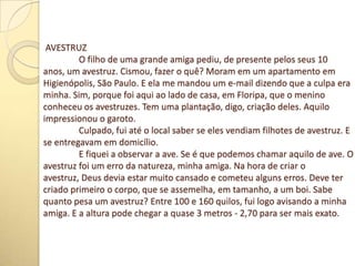 AVESTRUZ
O filho de uma grande amiga pediu, de presente pelos seus 10
anos, um avestruz. Cismou, fazer o quê? Moram em um apartamento em
Higienópolis, São Paulo. E ela me mandou um e-mail dizendo que a culpa era
minha. Sim, porque foi aqui ao lado de casa, em Floripa, que o menino
conheceu os avestruzes. Tem uma plantação, digo, criação deles. Aquilo
impressionou o garoto.
Culpado, fui até o local saber se eles vendiam filhotes de avestruz. E
se entregavam em domicílio.
E fiquei a observar a ave. Se é que podemos chamar aquilo de ave. O
avestruz foi um erro da natureza, minha amiga. Na hora de criar o
avestruz, Deus devia estar muito cansado e cometeu alguns erros. Deve ter
criado primeiro o corpo, que se assemelha, em tamanho, a um boi. Sabe
quanto pesa um avestruz? Entre 100 e 160 quilos, fui logo avisando a minha
amiga. E a altura pode chegar a quase 3 metros - 2,70 para ser mais exato.
 