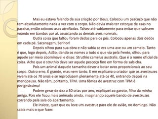 Mas eu estava falando da sua criação por Deus. Colocou um pescoço que não
tem absolutamente nada a ver com o corpo. Não devia mais ter estoque de asas no
paraíso, então colocou asas atrofiadas. Talvez até sabiamente para evitar que saíssem
voando em bandos por aí, assustando as demais aves normais.
Outra coisa que faltou foram dedos para os pés. Colocou apenas dois dedos
em cada pé. Sacanagem, Senhor!
Depois olhou para sua obra e não sabia se era uma ave ou um camelo. Tanto
é que, logo depois, Adão, dando os nomes a tudo o que via pela frente, olhou para
aquele ser meio abominável e disse: Struthio camelus australis. Que é o nome oficial da
coisa. Acho que o struthio deve ser aquele pescoço fino em forma de salsicha.
Pois um animal daquele tamanho deveria botar ovos proporcionais ao seu
corpo. Outro erro. É grande, mas nem tanto. E me explicava o criador que os avestruzes
vivem até os 70 anos e se reproduzem plenamente até os 40, entrando depois na
menopausa. Não têm, portanto, TPM. Uma fêmea de avestruz com TPM é
perigosíssima!
Podem gerar de dez a 30 crias por ano, expliquei ao garoto, filho da minha
amiga. Pois ele ficou mais animado ainda, imaginando aquele bando de avestruzes
correndo pela sala do apartamento.
Ele insiste, quer que eu leve um avestruz para ele de avião, no domingo. Não
sabia mais o que fazer.
 