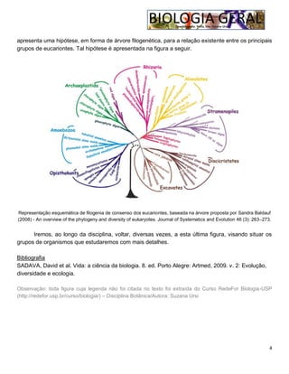 4
apresenta uma hipótese, em forma de árvore filogenética, para a relação existente entre os principais
grupos de eucariontes. Tal hipótese é apresentada na figura a seguir.
Representação esquemática de filogenia de consenso dos eucariontes, baseada na árvore proposta por Sandra Baldauf
(2008) - An overview of the phylogeny and diversity of eukaryotes. Journal of Systematics and Evolution 46 (3): 263–273.
Iremos, ao longo da disciplina, voltar, diversas vezes, a esta última figura, visando situar os
grupos de organismos que estudaremos com mais detalhes.
Bibliografia
SADAVA, David et al. Vida: a ciência da biologia. 8. ed. Porto Alegre: Artmed, 2009. v. 2: Evolução,
diversidade e ecologia.
Observação: toda figura cuja legenda não foi citada no texto foi extraída do Curso RedeFor Biologia-USP
(http://redefor.usp.br/curso/biologia/) – Disciplina Botânica/Autora: Suzana Ursi
 