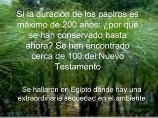 Si la duración de los papiros es máximo de 200 años: ¿por qué se han conservado hasta ahora? Se han encontrado cerca de 100 del Nuevo TestamentoSe hallaron en Egipto donde hay una extraordinaria sequedad en el ambiente