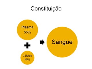 Constituição 