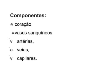 Componentes:   coração;  vasos sanguíneos:  artérias,  veias,  capilares. 