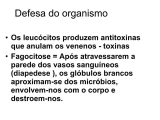 Os leucócitos produzem antitoxinas que anulam os venenos - toxinas Fagocitose = Após atravessarem a parede dos vasos sanguíneos  (diapedese ), os glóbulos brancos aproximam-se dos micróbios, envolvem-nos com o corpo e destroem-nos. Defesa do organismo 