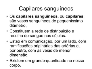 Capilares sanguíneos Os  capilares sanguíneos , ou  capilares , são vasos sanguíneos de pequeníssimo diâmetro.  Constituem a rede de distribuição e recolha do sangue nas células.  Estão em comunicação, por um lado, com ramificações originárias das artérias e, por outro, com as veias de menor dimensão.  Existem em grande quantidade no nosso corpo. 