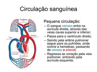 Circulação sanguínea Pequena circulação: O sangue  venoso  entra na aurícula direita, através das veias cavas superior e inferior; Passa para o ventrículo direito; Saindo pela artéria pulmonar segue para os pulmões, onde ocorre a hematose, passando de  venoso  a  arterial ; Regressa ao coração pela veia pulmonar, entrando pela aurícula esquerda. 
