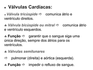  Válvulas Cardíacas:  Válvula tricúspide   comunica átrio e ventrículo direitos.  Válvula bicúspide ou mitral   comunica átrio e ventrículo esquerdos.  Função   garantir que o sangue siga uma única direção, sempre dos átrios para os ventrículos.  Válvulas semilunares  pulmonar (direita) e aórtica (esquerda).  Função   impedir o refluxo de sangue. 
