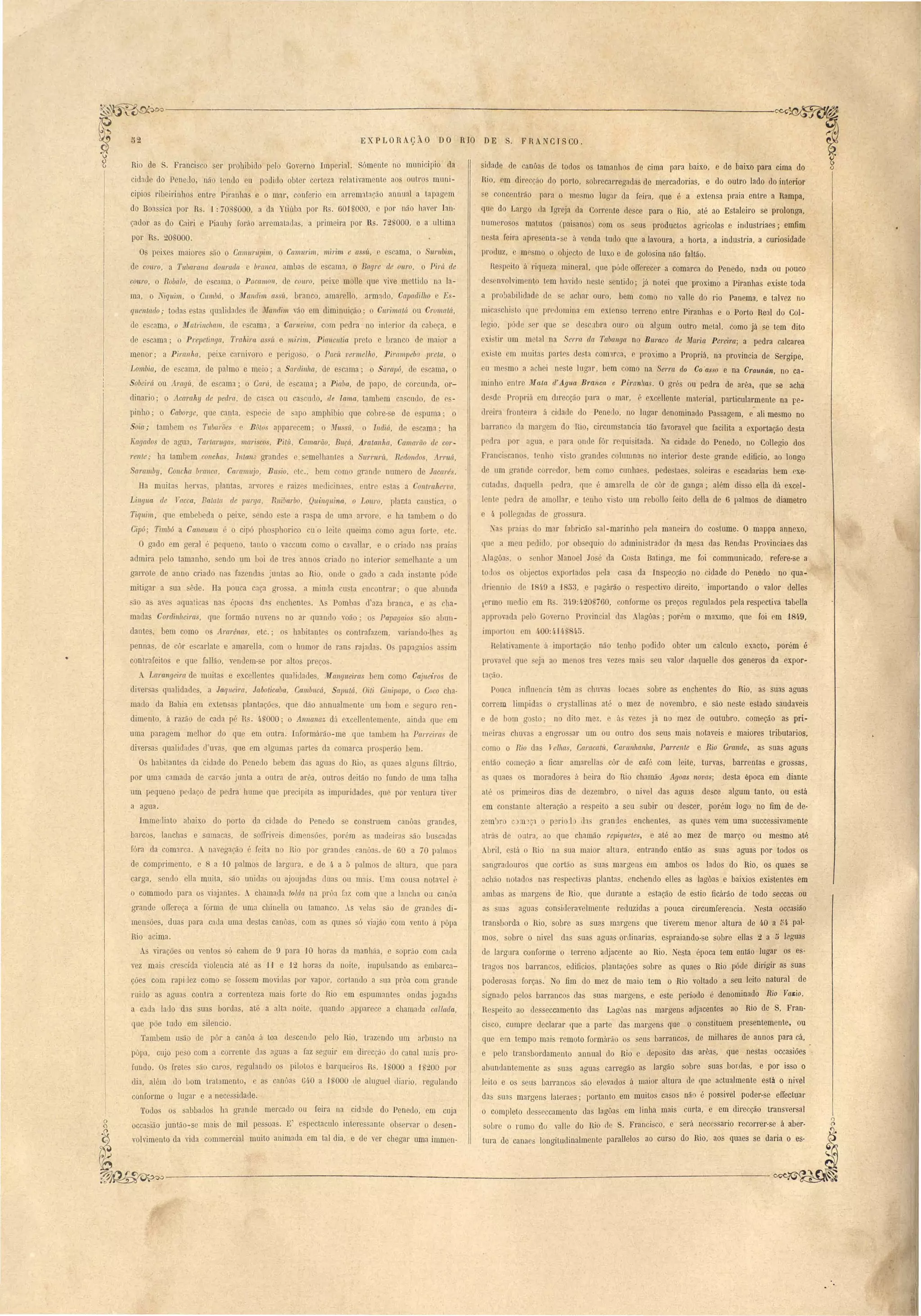 EXPLORAÇÃO DO RIO DE S. FRANCTSCO. 
Ri de S. Franci o r prohibido pel Govorno Imporin1. Sómente no mUI icipio da 
'idnd do PeneJo, uá LmIo eu podido obtor corLeza r laLivamento ao uLr s muni­cipios 
ribeirinho entre Pil'ilnha e o mar, conrerio om arrematação annunl a tnpag ln 
do Boa ica por Rs. :L: 708 000, a da Ytiúba por R . 60UOOO, o por não hav r I n­çador 
a do Cairi e Piauhy roráo arrematada, a [rimeira por Rs. 72nOOO, e a ulLimn 
por R . _0,000. 
O pei' maiore ão o Camurnpim, o Camuri,11l mirim e a ít, o ama, o nrubiln, 
d couro a Tubrtralla dOllrada brallca, ambas d e cama, o Bagre de ouro, O Pirá de 
couro, O Robalo, le cama, Pacamol/, le couro, pei:e molle qu vive moLLido na la-ma, 
o Wiquim, o Cwnbá, o jJ!andim as it, branco, amar no, armado, CapadilllO o Es­quelltado; 
toda e ta qualidade elo l1Ialldim ão em diminuição; o CUl'imalá u Ol'omalá, 
de (' cama, o jJ!atrillc1tmn, do cama, a Ca1'lwilla, com I edra no inL ri r da ab ça, e 
tIe scama; o P'I'epelinga, Trahira as. ü e mirim, PiauclIlia pr to e branco d maior a 
menor; a Pirallha, peixe cnrnivoro o p rigo o, o Pacit vermelho, PiJ'ampelw ]J1'ela, o 
Lombict, d e ama, de palmo e m io; a SaI'lhnllG, de e cama; o Sampó, d o C(lma, o 
Sobeirâ ou Aragít, de e ama; Carei, de o cama; a Piaba, de papo, d orcunda, 01'­dinario; 
o Acamhy de lJeClra, do ca ca ou ca cndo. de lalM, tamb m a uelo, d 
pinho' o Caborge, que canta, peci de npo amphibio que cohre- e de puma; o 
Soía; tambem o:; Tubarãe e BMo' apparo em· o 11111 S1/, o fllCliá, d e camn; ha 
Kagados de agua, Tartaruga, mari co , PiUI, Camarão, Bu('á, Aralanha, Camarüo de C01'­1' 
ente; ha tambem concha, IIlta11J grande e emelhante a Il1T1L1'l't, Redondos, ArmlÍ, 
Saramby, Concha branca, Caranwjo, Bu io, cl " bem om arando num 1'0 de Jacarés. 
Ha muita berva planta, arvore, e raiz medicinae~, entro e,ta a olltrahel'lla, 
Língua de Yacca, Batata de purga, RuilJarbo, Quínquina, o Louro, planta canJica, o 
Tiquim, que emb beda o peix, endo e te a ra pa duma arvor , ha tambem o do 
Cipó; Ti/nbó a Canauam . °cipó pho pho1'ico u'o leite queima como agu forL, t. 
O gado em geral é pequeno, tanto o vaccum como o cav(lllar, e o riado na praia 
admira pelo tamanho, endo um boi de tre anno criado no int rior 'em lhaot a Llm 
garrote de anno criado na faz nda juntas ao Rio, ond o gado a cada in tante pód 
mitigar a ua êde. Ha pouca caça gro a, a miurla 11 ta n ontrar; o que abunda 
ão as ave aquali a na época da enchente. A Pomba 1aza b1'an a, e a 1Ia-mada 
Cordinheira, que formão nuven no ar quando voão; o Papagaio ã ahun­dantes, 
bem como o Aml'ênas etc.' o habitante o contrafazem ariando-lhe a, 
penna , de côr e carlate e amarella, com humor de ran rajada. O papagaio' a im 
contrareitos e que fallão, vendem-se por alto preco. 
Larangeira de muita e excellente qualiLlade, JJ!auglteíms bem como Ca.iueÍ1·o de 
diver as qualidade, a Jaquám, Jaboticaba, Cambucá, Sapltlá, Oili Ginípapo, o Coco cha­mado 
da Bahia em exten as plantaçõe , que dão annualmente um bom eguro ren­dimento, 
á razão de cada pé R . (I·SOOO; o Annanaz dá oxcellentement, ainda qu em 
uma paragem melhor do que em outra. Informárão-me que tambem 11a PCl1Teiras de 
diver as qualidade d'uva, que em algumas partes da comarca pro perão 1em. 
Os babitantes da cidade do Penedo bebem das agua do Rio, a quae a19un fillrão, 
por uma camada de carvão junta a outra de arêa, outros deitão no fundo de uma talha 
um pequeno pedaço de pedra hume que precipita as impuridade, que por ventura tiv r 
:?1~---------------------'------------_----':-- 
C) 
siclade ele an6as de todos os tamanhos ele cima para baixo, e de baixo para cima do 
nio, rm direcc,;,o do porto, sohrocarregndas de mercadorias, e do outro lado do interior 
'e oncentrão para o me mo lug:1J' da feira, que é a extensa praia entre a Rampa, 
qu - do Largo da Igreja da CorrenLe desce para o Rio, até ao Estaleiro se prolonga, 
num 1'0 os matutos (paisanos) com os eus productos agrícolas e industriaes; emfim 
n ta reira apr s nta- á vonda tudo qu a lavoura, a horta, a industria, a curiosidade 
pl'Oduz, e mesmo o objecto do luxo e de golosina não faltão. 
Re pito Ú riqueza mineral, que póde orrerecer a comarca do Penedo, nada ou pouco 
d nvohim nto tem havido ne t enlielo; já notei que proximo a Piranhas existe toda 
a probabilidad de e achar ouro, bem como no valle do rio Panema, e talvoz no 
micnschisto que predomina m xLen o tel'reno entre Piranhas e o Porto Real do Col­legio, 
p' de er que se l1escul 1'a omo OLl algum outro meLaI, como já e Lem dito 
oxi Lir um m tal na Serra da Tabanga no Buraco de Maria Pereira; a pedra calcarea 
xisLe m llluita part s de, ta com r a, o proximo a Propriá, na provincia de Sergipe, 
- 11 m ~mo a achei neste 1Llgar, b m como na Serra elo Co 'as,ço e na Craunán, no ca­minho 
entre jJ[ata d' Agua Branca e Piranhas. O grés ou pedra de arêa, que se acha 
d . d Pr priá m direcção para o mar, é oxcellente material, particularmente na pe­dreira 
fl'ont ira á cidarl do Penec1o, no lugar denominado Passagem, e- ali mesmo no 
barran (la margem d Rio, circum tancia tão favoravel que facilita a exportação desta 
prdra por naua, e para onde fÓl' r qui ilada. a cidado do Penedo, no Collegio dos 
Franci can , trnho " i to grande olumna no interior d ste grande etIificio, ao longo 
de um gl'ande c rredor, 1 m om cunhae, pede tae ,soleira e escadarias bem exe-utada 
, daqueUa pedra, que . amar lla ue côr de ganga; além di so ella dá excel­1 
nt pedra de amolIar, e tenho vi to um r boBo feito della de 6 palmos de diametro 
4,. polleaada d gro ura. 
Na praia do mar fabricão aI-marinho pela maneira do costume. O mappa annexo, 
qu a m u pedido, por ob equio do admini trador da mesa das Rendas Provinciaes das 
lag6a, o nhOl :'Iranoel José da Co ta Batinga, me foi communicado, refere-se a 
tOllo o obj cLos exportado pela casa da Inspecção no cidade do Penedo no qua-tlrienni 
ele 1 ~9 a '1 53, .e pagárão o respectivo direito,' importando o valor delle 
t rm medio m R . 3,,9:4_0 í60, onforme o preço regulados pela respectiva tabella 
appr vada I el Gov rno Pro in ial da ...lagôa; porém o ma:'1mo, que foi em 1849, 
imp ri u m 400:4-1!t- ~;). 
Relativamenle á importarã não tenho podido obter um calculo exacto, porém é 
pro av I que ja ao meno tres z mai eu valor daquelle dos generos da expor- 
LaCã . 
Pouca influ ncia têm as chuvas locae obre as enchente do Rio, as suas aguas 
correm limpida o cry tallina até o mez de novembro, e são neste estado saudaveis 
e de bom g Lo; no dito mez, e á' veze já no mez ele outubro, começão as pri­m 
ira chuva a engros ar um ou outro dos seus mais notaveis e maiores tributarios, 
como o Rio da relhas, Caracatít, CaTllllhanha, Parrenle e Rio Grande, as suas aguas 
ntão ome áo a ficar amal'ella côr de café com leite, turvas, barrentas e grossas, 
a quae o moradore á beira do Rio chamão Agoas novas; desta época em diante 
aLé o primeim dias de dezembro, o nivel da' aguas de ce algum tanto, ou está 
em con tante alteração a re peito a seu ubir ou descer, porém logo no fim de de­zem') 
r cm... ,,'!. p ri J. l1: gl'an e enchentes, a quae vem uma successivamente 
atrá de outra, ao que chamão repiquetes, e até ao mez de março ou mesmo atp­Abril, 
esLá o Rio na ua maior altura, entrando então as suas aguas por todos os 
angradouro que cortão a suas margens em ambos o lados do Rio, os quaes se 
ncMo notado nas respectivas plantas, enchendo elles as lagôas e baixios existentes em 
ambas as margens de Rio, que durante a estação de e tio ficárão de todo seccaR ou 
a uas aguas considoravelmente reduzidas a pouca circumferencia. Nesta occasião 
transborda o Rio, sobre a Llas margens que tiverem menor altura de 4-0 a 54 pal­mos, 
sobre o nivel das suas aguas orc1inarias, espraiando- e sobre ellas 2 a 5 leguas 
de largura conforme o terreno adjacente ao Rio. Ne~ta época tem entáo lugar os es· 
tragos n?s barrancos, edificio , plantações sobre as quaes o Rio póde dirigir as suas 
podera a forças: No fim do mez de maio tem o Rio voltado a seu leito natural de 
signado pelos barranco das suas margens, e este periodo é denominado Rio Va.cio. 
o Respeito ao de seccamento das Lagôas nas margens adjacentes ao Rio de S, Fran· 
cisco, cumpre declarar que a parte das margens que o constituem presentemente, ou 
que em tempo mais remoto formárão os seu barrancos, de milhares de annos para cá, 
e pelo transbordamento annual do Rio e deposito das arêas, que nestas occasiões 
abundantemente as suas aguas carregão as largão sobre suas bordas, e por isso o 
leito e os seus barranco ão elevado á maior altma ele que actualmente está o nivel 
da SU;:l margens lateraes; portanto em muitos casos não é possivel poder-se effectuaI' 
o comlleto dosseccamento das lagôas em Iinha mais curta, e em direcção transversal 
sobro o rumo do valIe do Rio de S. Franei CO, e será necessario recorrer-se á aber­tura 
de canaes longítudinahnente paralIelos ao curso do Rio, aos quaes se daria o es- 
52 
a agua. 
Immediato abaixo do porto da cidade do Penedo e construem canôa grandes, 
barco, lanchas e sumacas, de soffrivei dimensões, porém a madeira ão bu cada 
fóra da comarca, A navegação é feita no Rio por grande canôas. ele 60 a 70 palmo 
de comprimento, e 8 a 10 palmos de largura, e de 4 a 5 palmos de nUma, que para 
carga, sendo ella muita, são unida ou ajoujadas fluas ou mais. Uma cou a notavel :. 
o commodo para os viajantes. A chamada tolda na prôa raz com que a lancha ou canôa 
grande oífereça a fórma de uma chinella ou tamanco, As velas são de grandes di­mensões, 
duas para cada uma de tas canôas, com as quaes só viajão 'com vento á I 6pa 
Rio acima. 
As virações ou ventos só cahem de 9 para 10 horas da manhãa, e soprio com cada 
vez mais crescída yiolencia até as 1'J e 12 horas da noite, impulsando as embarca­ções 
com rapilez como e fossem movidas por vapor, cortando a sua prôa com grande 
ruido as aguas contra a correnteza mais forte do Rio em espumantes anelas jogada 
a cada lado das suas borda, até a alta noite, quando apparece a chamada callada, 
que põe tudo em silencio. 
Tambem usão de pôr a can6a li toa descendo pelo Rio, trazendo um arbusto na 
pôpa, cujo pe o com a corrente elas aguas a faz seguir em direcção do canal mais pro­fundo. 
Os fretes são caros, regulando o pilotos e barqueiros Rs. 1nooo a 1S200 por 
dia, além do bom traLamento, e as canôa ()(J.O a 1nooo tle aluguol l1iarjo, regulando 
conforme o lugar e a nece sidade. 
Todos os sabbaelos ha grande mercado ou feira na cidade do Penedo, 'em cuja 
occasião juntão-se mais de mil pessoas. E' e p ctaculo interessante observar o desen­volvimento 
da vida commercial muito animada em tal dia, e de ver chegar uma immol1- 
• 
 