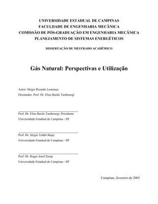 UNIVERSIDADE ESTADUAL DE CAMPINAS
FACULDADE DE ENGENHARIA MECÂNICA
COMISSÃO DE PÓS-GRADUAÇÃO EM ENGENHARIA MECÂNICA
PLANEJAMENTO DE SISTEMAS ENERGÉTICOS
DISSERTAÇÃO DE MESTRADO ACADÊMICO
Gás Natural: Perspectivas e Utilização
Autor: Sérgio Ricardo Lourenço
Orientador: Prof. Dr. Elias Basile Tambourgi
Prof. Dr. Elias Basile Tambourgi, Presidente
Universidade Estadual de Campinas - SP
Prof. Dr. Sérgio Valdir Bajay
Universidade Estadual de Campinas - SP
Prof. Dr. Roger Josef Zemp
Universidade Estadual de Campinas - SP
Campinas, fevereiro de 2003
 