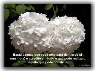 Basta apenas que você olhe para dentro de si mesmo(a) e acredite em tudo o que pode realizar, naquilo que pode construir. 