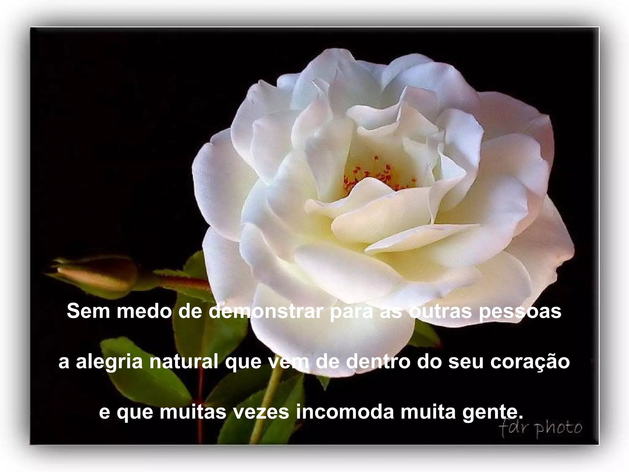 Sem medo de demonstrar para as outras pessoas

a alegria natural que vem de dentro do seu coração

   e que muitas vezes incomoda muita gente.
 