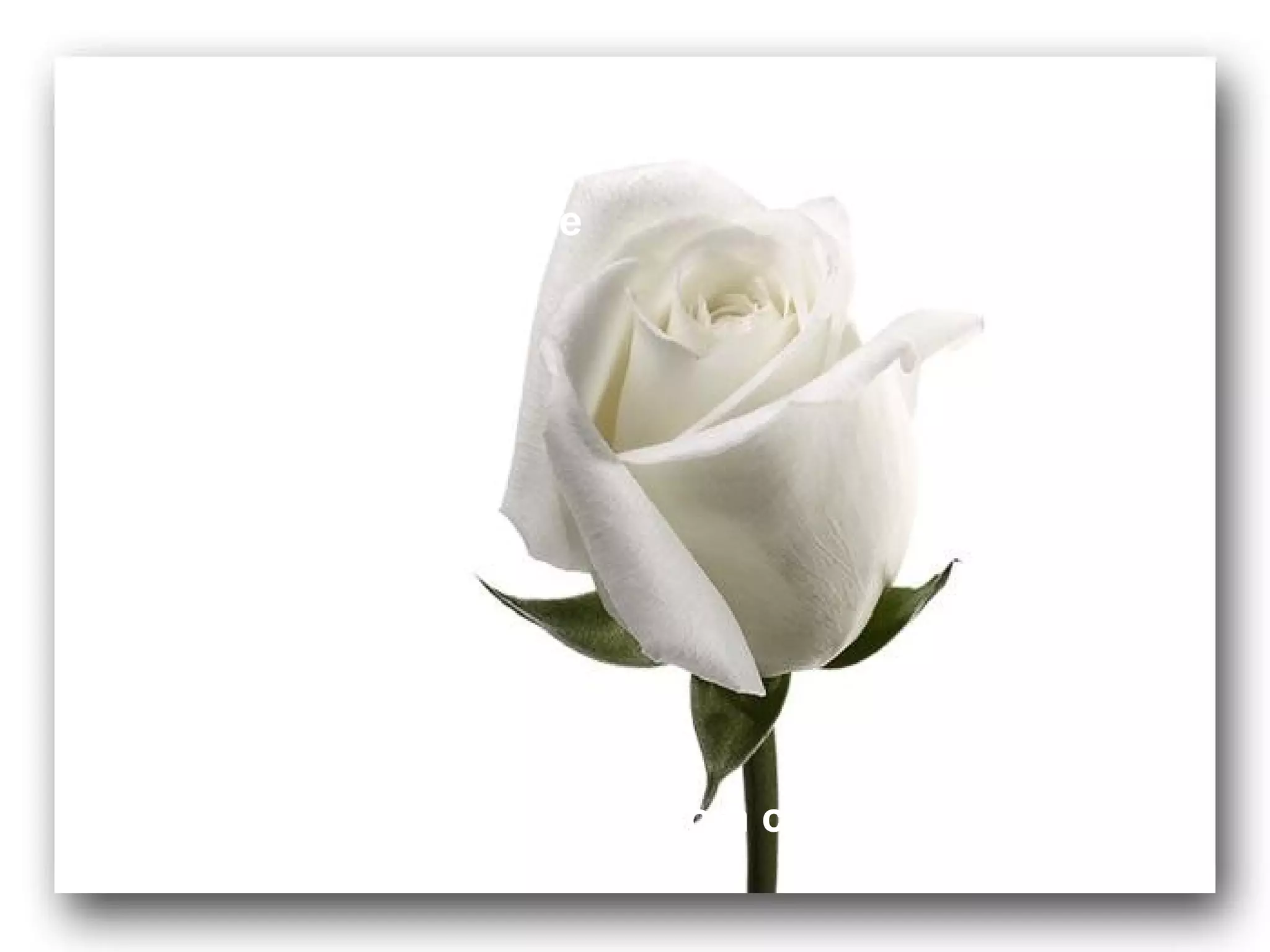 Assuma a condição

de ser feliz de verdade

não importando

qualquer tipo

de dificuldade.




           Você as vence, com certeza!
 