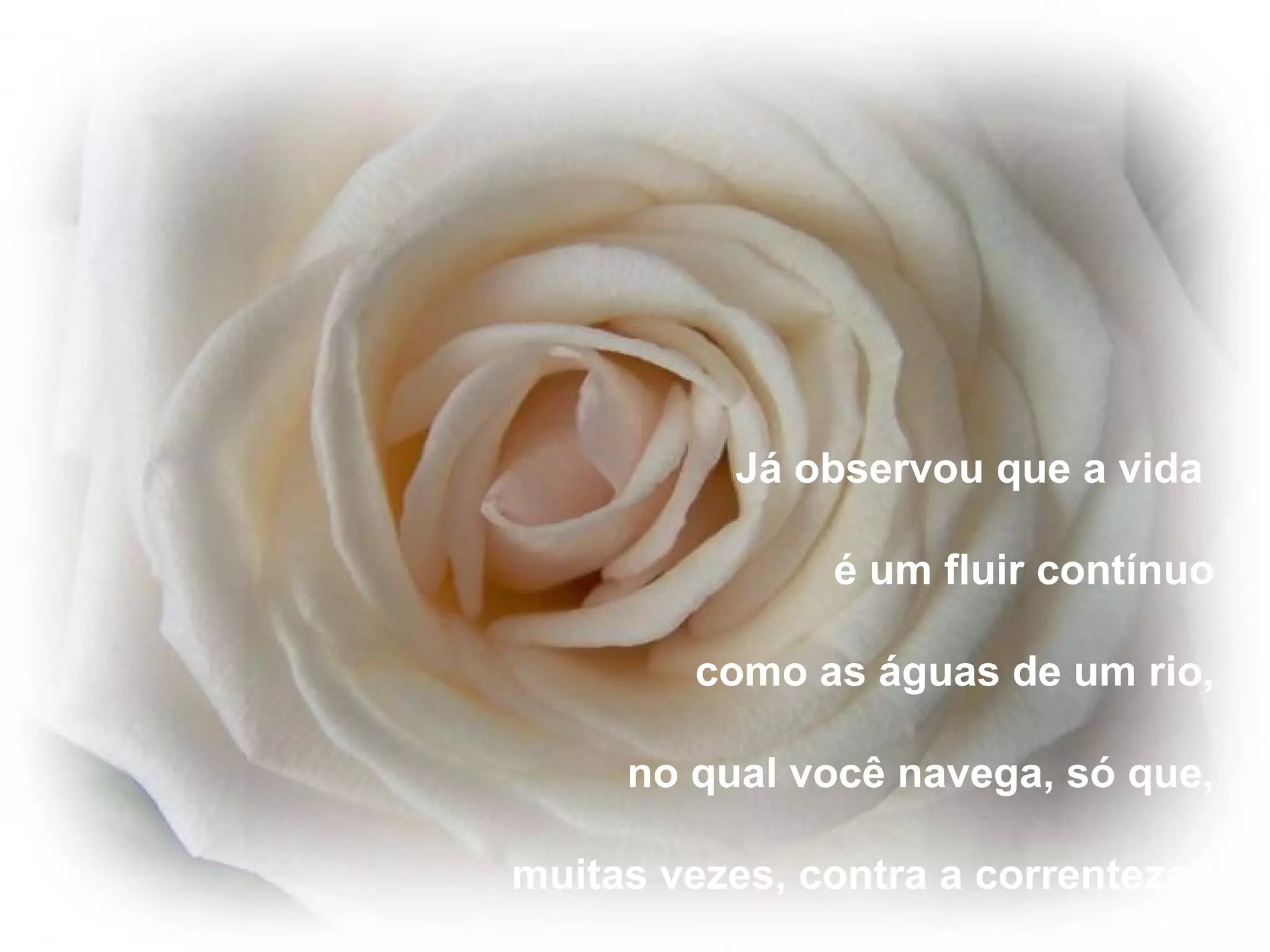 Já observou que a vida

               é um fluir contínuo

        como as águas de um rio,

     no qual você navega, só que,

muitas vezes, contra a correnteza?
 