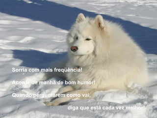 Sorria com mais freqüência!

Acorde de manhã de bom humor!

Quando perguntarem como vai,

                     diga que está cada vez melhor!
 