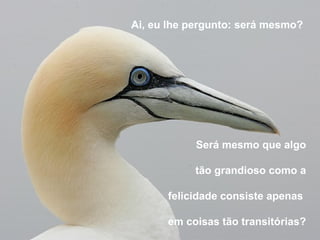 Ai, eu lhe pergunto: será mesmo?




            Será mesmo que algo

           tão grandioso como a

      felicidade consiste apenas

      em coisas tão transitórias?
 