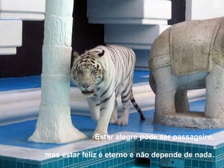 Estar alegre pode ser passageiro,

mas estar feliz é eterno e não depende de nada.
 