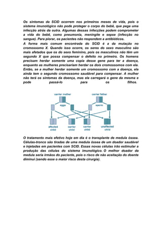 Os sintomas da SCID ocorrem nos primeiros meses de vida, pois o
sistema imunológico não pode proteger o corpo do bebê, que pega uma
infecção atrás da outra. Algumas dessas infecções podem comprometer
a vida do bebê, como pneumonia, meningite e sepse (infecção no
sangue). Para piorar, os pacientes não respondem a antibióticos.
A forma mais comum encontrada do SCID é a da mutação no
cromossomo X. Quando isso ocorre, os seres do sexo masculino são
mais afetados que os do sexo feminino, pois os masculinos não têm um
segundo X que possa compensar o defeito no primeiro. Os homens
precisam herdar somente uma copia desse gene para ter a doença,
enquanto as mulheres precisariam herdar os dois cromossomos com ela.
Então, se a mulher herdar somente um cromossomo com a doença, ela
ainda tem o segundo cromossomo saudável para compensar. A mulher
não terá os sintomas da doença, mas ela carregará o gene da mesma e
pode            passá-lo             para          os            filhos.




O tratamento mais efetivo hoje em dia é o transplante de medula óssea.
Células-tronco são tiradas de uma medula óssea de um doador saudável
e injetadas em pacientes com SCID. Essas novas células irão estimular a
produção das células do sistema imunológico. O melhor doador da
medula seria irmãos do paciente, pois o risco de não aceitação do doente
diminui (sendo esse o maior risco desta cirurgia).
 