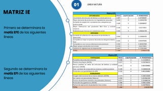 MATRIZ IE
Primero se determinara la
matiz EFE de las siguientes
líneas
LINEA NATURA
01
Segundo se determinara la
matiz EFI de las siguientes
líneas
 