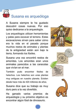 Susana es arqueóloga
A Susana siempre le ha gustado
descubrir cosas nuevas. Por eso
quiso dedicarse a la arqueología.
Los arqueólogos utilizan herramientas
y palas para excavar el terreno. Estas
excavaciones sirven para saber cómo
era la vida en el pasado porque
muchos restos de animales y plantas
de la antigüedad están aún bajo la
tierra, formando los fósiles.
Susana una vez encontró restos de
amonites. Los amonites eran unos
animales parecidos a las caracolas
que vivían en el mar.
También pudo encontrar fósiles de
helechos. Los helechos son unas plantas
muy antiguas en nuestro planeta. Existen
desde hace más de 420 millones de años.
Susana dice que su trabajo es muy
duro pero a la vez divertido.
Ha ganado varios premios de
arqueología y su próximo objetivo es
encontrar algún fósil de dinosaurio.
 