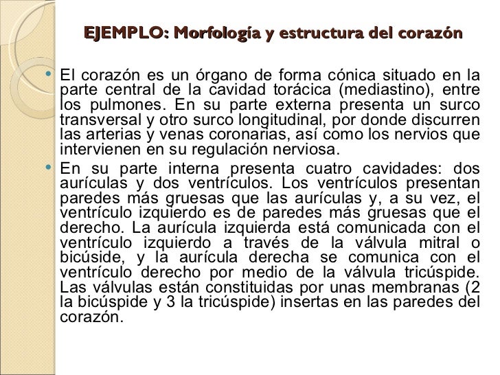 texto descriptivo corto texto descriptivo texto descriptivo corto texto descriptivo
