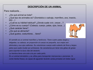 DESCRIPCIÓN DE UN ANIMAL
Para realizarla…
 •   ¿De qué animal se trata?
 •   ¿Qué tipo de animales es? (Doméstico o salvaje, mamífero, ave, insecto,
     pez…)
 •   ¿Cuál es su hábitat habitual? ¿Dónde suele vivir, crecer…?
 •   ¿Cómo es su cuerpo? (Cabeza, cuerpo, patas, ojos, boca…)
 •   ¿Qué carácter tiene?
 •   ¿De qué se alimenta?
 •   ¿Qué gustos, costumbres… tiene?

     El camello es un animal mamífero y herbívoro. Tiene cuatro patas largas y
     delgadas, su cabeza, en proporción al cuerpo es pequeña, sus orejas son
     diminutas y sus ojos saltones. Su voluminoso cuerpo está cubierto de finos y largos
     pelos que suele mudar por primavera. Se caracteriza por tener dos gibas de grasa
     para soportar la dura vida del desierto.
     La hembra tiene una sola cría por cada parto.
     Es un animal doméstico y se utiliza para transportar mercancías o personas. Si
     come hierba fresca, es capaz de aguantar durante varias jornadas sin beber agua.
 