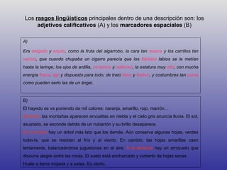 Los rasgos lingüísticos principales dentro de una descripción son: los
      adjetivos calificativos (A) y los marcadores espaciales (B)

A)

Era delgado y enjuto, como la fruta del algarrobo, la cara tan reseca y los carrillos tan
vacíos, que cuando chupaba un cigarro parecía que los flácidos labios se le metían
hasta la laringe; los ojos de ardilla, vivísimos y saltones, la estatura muy alta, con mucha
energía física, ágil y dispuesto para todo; de trato llano y festivo, y costumbres tan puras
como pueden serlo las de un ángel.



B)
El hayedo se va poniendo de mil colores: naranja, amarillo, rojo, marrón…
Al fondo, las montañas aparecen envueltas en niebla y el cielo gris anuncia lluvia. El sol,
asustado, se esconde detrás de un nubarrón y su brillo desaparece.
En el centro hay un árbol más lato que los demás. Aún conserva algunas hojas, verdes
todavía, que se resisten al frío y al viento. En cambio, las hojas amarillas caen
lentamente, balanceándose juguetonas en el aire. A la derecha hay un arroyuelo que
discurre alegre entre las rocas. El suelo está encharcado y cubierto de hojas secas.
Huele a tierra mojada y a setas. Es otoño.
 
