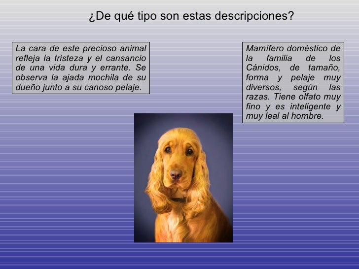 texto descriptivo corto texto descriptivo texto descriptivo corto texto descriptivo
