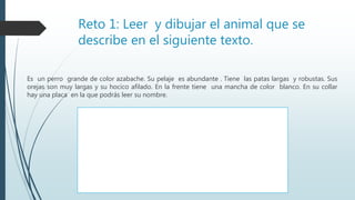 Reto 1: Leer y dibujar el animal que se
describe en el siguiente texto.
Es un perro grande de color azabache. Su pelaje es abundante . Tiene las patas largas y robustas. Sus
orejas son muy largas y su hocico afilado. En la frente tiene una mancha de color blanco. En su collar
hay una placa en la que podrás leer su nombre.
 