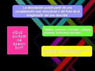 ¿Qué podemos describir? 