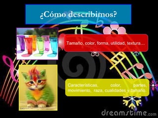 ¿Cómo describimos? Tamaño, color, forma, utilidad, textura… Características, color, partes, movimiento,  raza, cualidades y tamaño. 