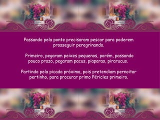 Passando pela ponte precisaram pescar para poderem prosseguir peregrinando. Primeiro, pegaram peixes pequenos, porém, passando pouco prazo, pegaram pacus, piaparas, pirarucus.  Partindo pela picada próxima, pois pretendiam pernoitar pertinho, para procurar primo Péricles primeiro. 