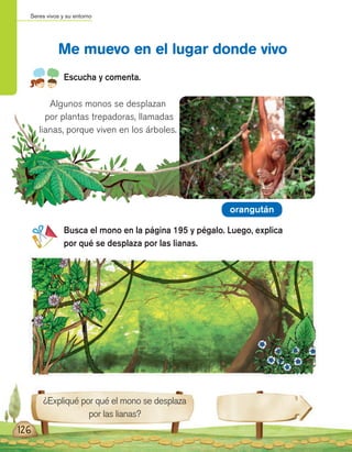 Seres vivos y su entorno
126
Escucha y comenta.
Me muevo en el lugar donde vivo
Busca el mono en la página 195 y pégalo. Luego, explica
por qué se desplaza por las lianas.
¿Expliqué por qué el mono se desplaza
por las lianas?
Algunos monos se desplazan
por plantas trepadoras, llamadas
lianas, porque viven en los árboles.
orangután
 