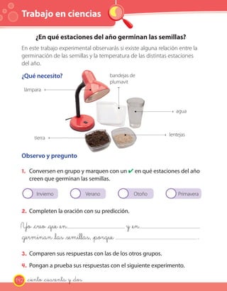Trabajo en ciencias
¿En qué estaciones del año germinan las semillas?
En este trabajo experimental observarás si existe alguna relación entre la
germinación de las semillas y la temperatura de las distintas estaciones
del año.
¿Qué necesito?
Observo y pregunto
1. Conversen en grupo y marquen con un ✔ en qué estaciones del año
creen que germinan las semillas.
Invierno OtoñoVerano Primavera
2. Completen la oración con su predicción.
Yo _creo _que _en y _en
_germinan _las _semillas, _porque .
3. Comparen sus respuestas con las de los otros grupos.
4. Pongan a prueba sus respuestas con el siguiente experimento.
lentejas
agua
lámpara
tierra
bandejas de
plumavit
142 _ciento _cuarenta y _dos
 