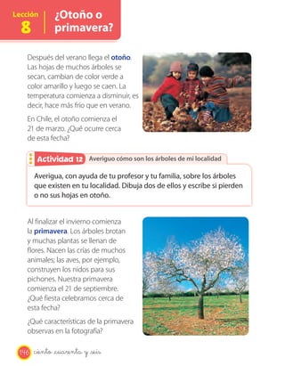 Lección
8
¿Otoño o
primavera?
Averiguo cómo son los árboles de mi localidadAveriguo cómo son los árboles de mi localidadActividad 2Actividad 12
Después del verano llega el otoño.
Las hojas de muchos árboles se
secan, cambian de color verde a
color amarillo y luego se caen. La
temperatura comienza a disminuir, es
decir, hace más frío que en verano.
En Chile, el otoño comienza el
21 de marzo. ¿Qué ocurre cerca
de esta fecha?
Averigua, con ayuda de tu profesor y tu familia, sobre los árboles
que existen en tu localidad. Dibuja dos de ellos y escribe si pierden
o no sus hojas en otoño.
Al finalizar el invierno comienza
la primavera. Los árboles brotan
y muchas plantas se llenan de
flores. Nacen las crías de muchos
animales; las aves, por ejemplo,
construyen los nidos para sus
pichones. Nuestra primavera
comienza el 21 de septiembre.
¿Qué fiesta celebramos cerca de
esta fecha?
¿Qué características de la primavera
observas en la fotografía?
146 ciento _cuarenta y _seis
 