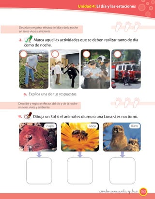 Unidad 4: El día y las estaciones
Describir y registrar efectos del día y de la noche
en seres vivos y ambiente
3. Marca aquellas actividades que se deben realizar tanto de día
como de noche.
Describir y registrar efectos del día y de la noche
en seres vivos y ambiente
4. Dibuja un Sol si el animal es diurno o una Luna si es nocturno.
a. Explica una de tus respuestas.
Pulpo Abeja Búho
153_ciento _cincuenta y _tres
 