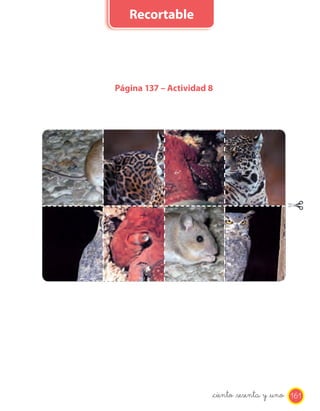 Página 137 – Actividad 8
161_ciento _sesenta y _uno
Recortable
 